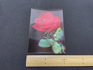 ｊ▲△　未使用３Ｄポストカード　赤いバラ　立体的　リアルな　薔薇　花　植物　発行年不明　絵葉書　古い印刷物/F39