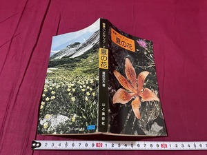 ｊ●○　野草ハンドブック２　夏の花　昭和51年4版　山と渓谷社/F70