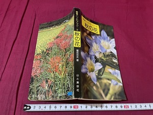 ｊ●○　野草ハンドブック３　秋の花　昭和51年4版1刷　山と渓谷社/F70