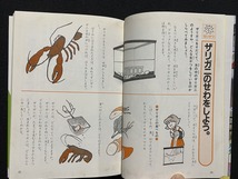 ｃ●○　小学生のたのしい自由研究　1995年6月　梧桐書院　工作　理科　社会　国語　生活　夏休み　宿題　/　B70_画像5