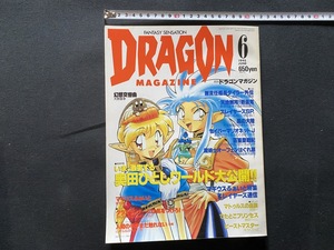 ｃ●○　月刊ドラゴンマガジン　1995年　6月号　スレイヤーズ　奥田ひとし大特集　富士見書房　/　F60