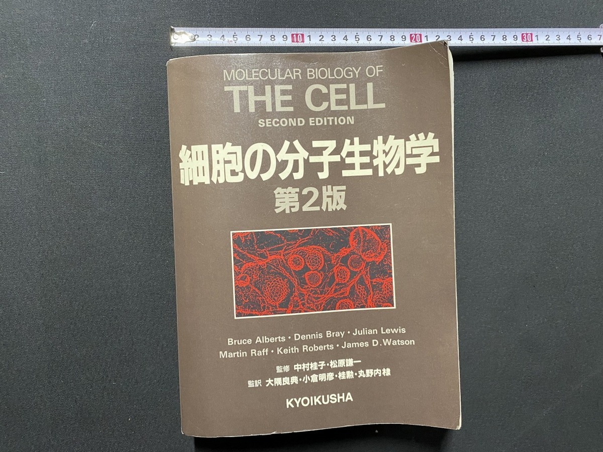 2025年最新】Yahoo!オークション -細胞の分子生物学(本、雑誌)の 2025年最新】Yahoo!オークション -細胞の分子生物学(本、雑誌)の