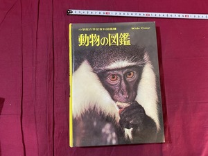 ｃ●*　難あり　動物の図鑑　今泉吉典監修　1989年4月1日初版第49刷発行　小学館の学習百科図鑑　/　B70