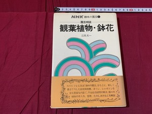 ｓ●○　昭和書籍　NHK趣味の園芸作業12か月①　園芸相談 観葉植物・鉢花　江尻光一　日本放送出版協会　昭和49年 第17刷　　/　F46