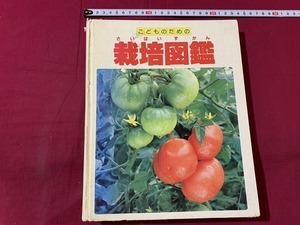 ｓ●　難あり　昭和期　こどものための 栽培図鑑　世界文化社　発・鈴木勤　昭和58年　当時物　昭和レトロ　コレクション　/D27