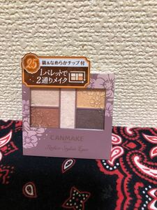 キャンメイク パーフェクトスタイリストアイズ25