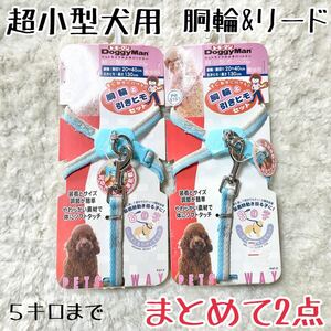 ★送料無料★2点まとめて★超小型犬用★胴輪＆リード★ドギーマン★格安★青