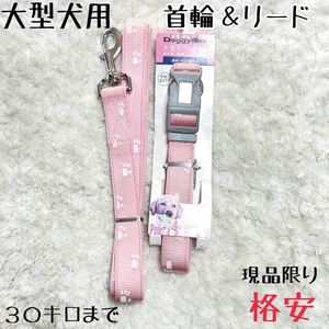 ★送料無料★大型犬用★首輪＆リード★ドギーマン★格安★現品