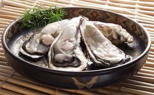 宮城 女川発 　極上１級品　新鮮 今から旬のでかい殻付きカキ5kg 安心安全ひえひえクール代込み　関東、関西一円は 3980円　かき　牡蠣