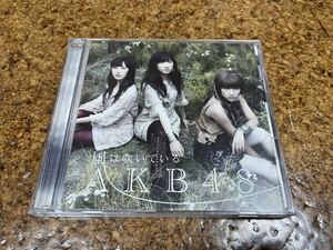 9 CD cd AKB48 風は吹いている　DVD