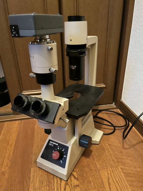 1円 レンズ付き OLYMPUS CK2 顕微鏡 倒立型位相差培養顕微鏡 A20PL A10PL CDPLan40PL SPLan4PL OLYMPUS