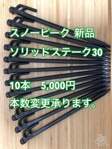 スノーピーク ペグ 30cm 10本セット ソリッドステーク30 R-103