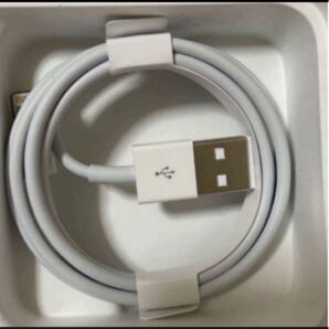 iPhone Apple ライトニングケーブル 付属品