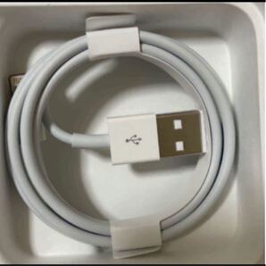 iPhone Apple ライトニングケーブル 付属品