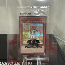 遊戯王カード 引退品 まとめ売り 限定 20th ホロ 未開封BOX ブルシク_画像4