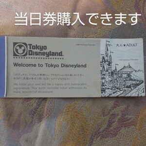 東京ディズニーランド スターライト チケット 当日券引換可 ディズニーチケット