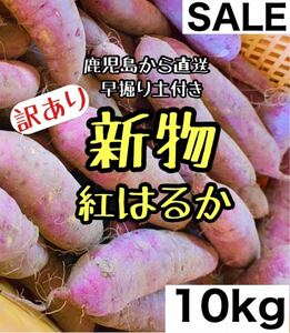 【訳あり】鹿児島県産 紅はるか 10キロ サツマイモ さつまいも 10kg