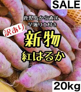 【訳あり】鹿児島県産 紅はるか 20キロ サツマイモ さつまいも 20kg