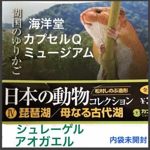 【内袋未開封】 海洋堂 カプセルQ ミュージアム 日本の動物 コレクション Ⅳ 琵琶湖 母なる古代湖 「 シュレーゲル アオガエル 」/ カエル