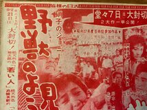 ■送料無料■ 野獣のように見えて 宍戸錠 地獄の夜は真紅だぜ 小林旭 映画 パンフレット チラシ 広告 案内 昭和 印刷物/くKAら/PA-6804_画像2