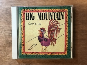 ■送料無料 ■ BIG MOUNTAIN WAKE UP CD 音楽 MUSIC /くKOら/DD-3886