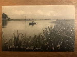 ■送料無料■ 水郷勝景 あやめの花 舟 絵葉書 エンタイア 写真 印刷物 風景 レトロ アンティーク /くNAら/EE-8737