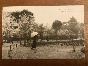 ■送料無料■ 岡山後楽園 女性 桜 絵葉書 葉書 エンタイア 写真 印刷物 景色 風景 /くNAら/EE-7286