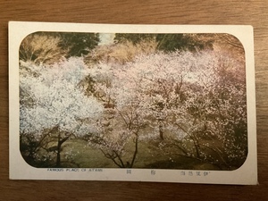 ■送料無料■ 梅園 伊豆熱海 絵葉書 葉書 エンタイア 写真 印刷物 風景 /くNAら/EE-7174