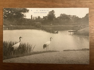 ■送料無料■ 岡山後楽園 絵葉書 葉書 エンタイア 写真 印刷物 景色 風景 /くNAら/EE-7285