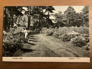 ■送料無料■ 松風原 つつじ 南湖 女性 絵葉書 エンタイア 写真 印刷物 風景 レトロ アンティーク /くNAら/EE-8274