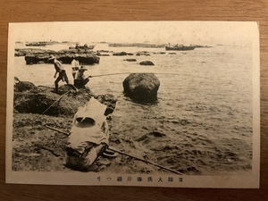 ■送料無料■ 常陸 大洗海岸 磯釣り 絵葉書 葉書 エンタイア 写真 印刷物 風景 /くNAら/EE-7017