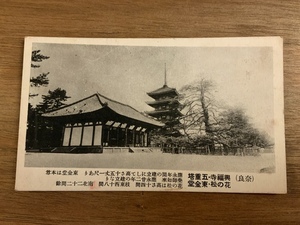 ■送料無料■ 奈良 興福寺 五重塔 花の松 東金堂 絵葉書 白黒写真 古葉書 エンタイア 古写真 印刷物 風景 /くNAら/EE-6142