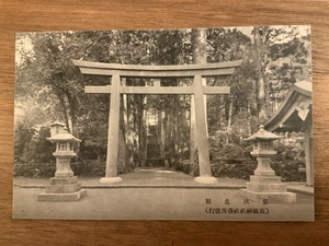 ■送料無料■ 箱根神社 国幣小社 神奈川県 絵葉書 葉書 エンタイア 写真 印刷物 風景 /くNAら/EE-6490