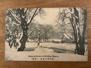 ■送料無料■ 札幌 植物園の雪景 北海道 切手 消印 絵葉書 古葉書 エンタイア 古写真 印刷物 風景 /くNAら/EE-4730