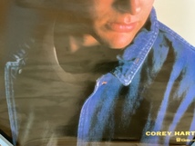 ■送料無料■ Corey Hart コリー・ハート 歌手 ロック歌手 ミュージシャン ポスター 印刷物 レトロ アンティーク /くKAら/KK-1268_画像3