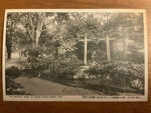 ■送料無料■ 名勝 金沢 兼六園 鳥居 扁額 石川県 日本庭園 風景 景色 絵葉書 写真 印刷物/くNAら/PP-69