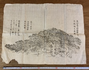 ■送料無料■ 高砂尾上 片枝松之真図 風景画 絵画 古書 古文書 まくり めくり 書 /くSIら/FF-246