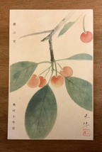 ■送料無料■ 桜の實 奥村土牛筆 さくらんぼ 果実 絵 絵画 絵葉書 エンタイア 写真 印刷物 風景 レトロ アンティーク /くNAら/EE-8796_画像1