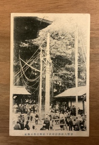 ■送料無料■ 官幣大社 諏訪神社 祭 絵葉書 葉書 エンタイア 写真 印刷物 風景 /くNAら/EE-6920