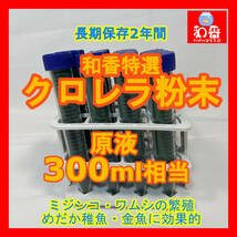 和香特選粉末生クロレラ300ml作成用 ミジンコめだか金魚らんちゅうの餌 針子稚魚の青水作ワムシゾウリムシ生餌4_画像1