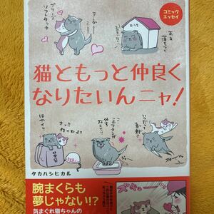 猫ともっと仲良くなりたいんニャ！☆タカハシヒカル☆定価９８０円♪