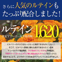 サプリメントガーデン ビルベリー&ルテイン粒 大容量6ヶ月分/360粒 北欧産100倍濃縮ビルベリーやルテインなどクリアサポート成分たっぷり_画像5