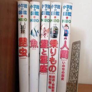 小学館の図鑑NEO 人間 乗りもの 星と星座 昆虫 魚 5冊セット まとめ売り
