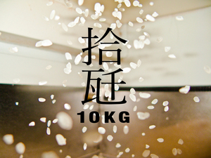 新米 送料無料 栃木県産コシヒカリ 10kg 2021年産　白米　単一原料米 　riceworkwhite