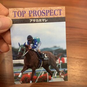 エポックEPOCH HORSE COLLECTION TOP PROSPECT142アサカホマレ