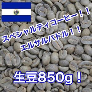 スペシャルティコーヒー！エルサルバドル　シティオ・デ・マリア農園！生豆850g！