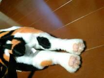 （送料無料）リアルな猫リュック　三毛猫　可愛いです　ネコ　ねこ　かばん　バッグ_画像7