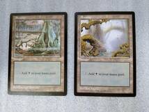 MTG APACランド 沼 2枚セット_画像1