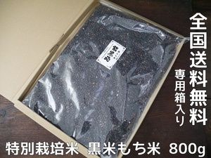 【おたまや】古代米 黒米もち米 紫黒苑（800g）ネコポス発送 送料無料
