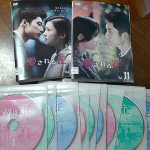 即決!送料無料 愛される花 中国ドラマ 全巻18枚セット レンタル DVD